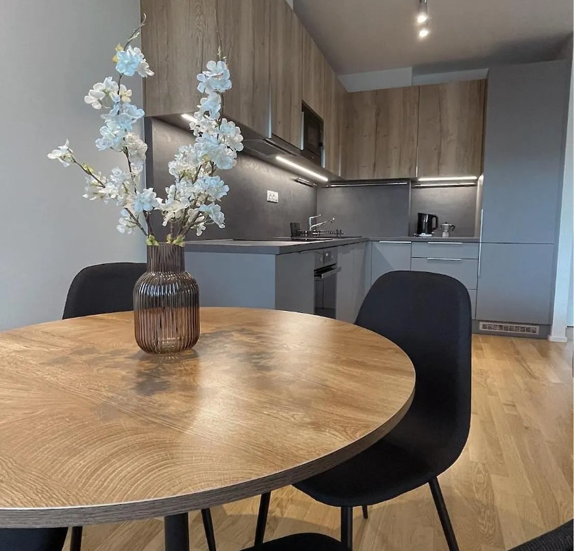 Modern Stylish Apartment With Private Garage Prague